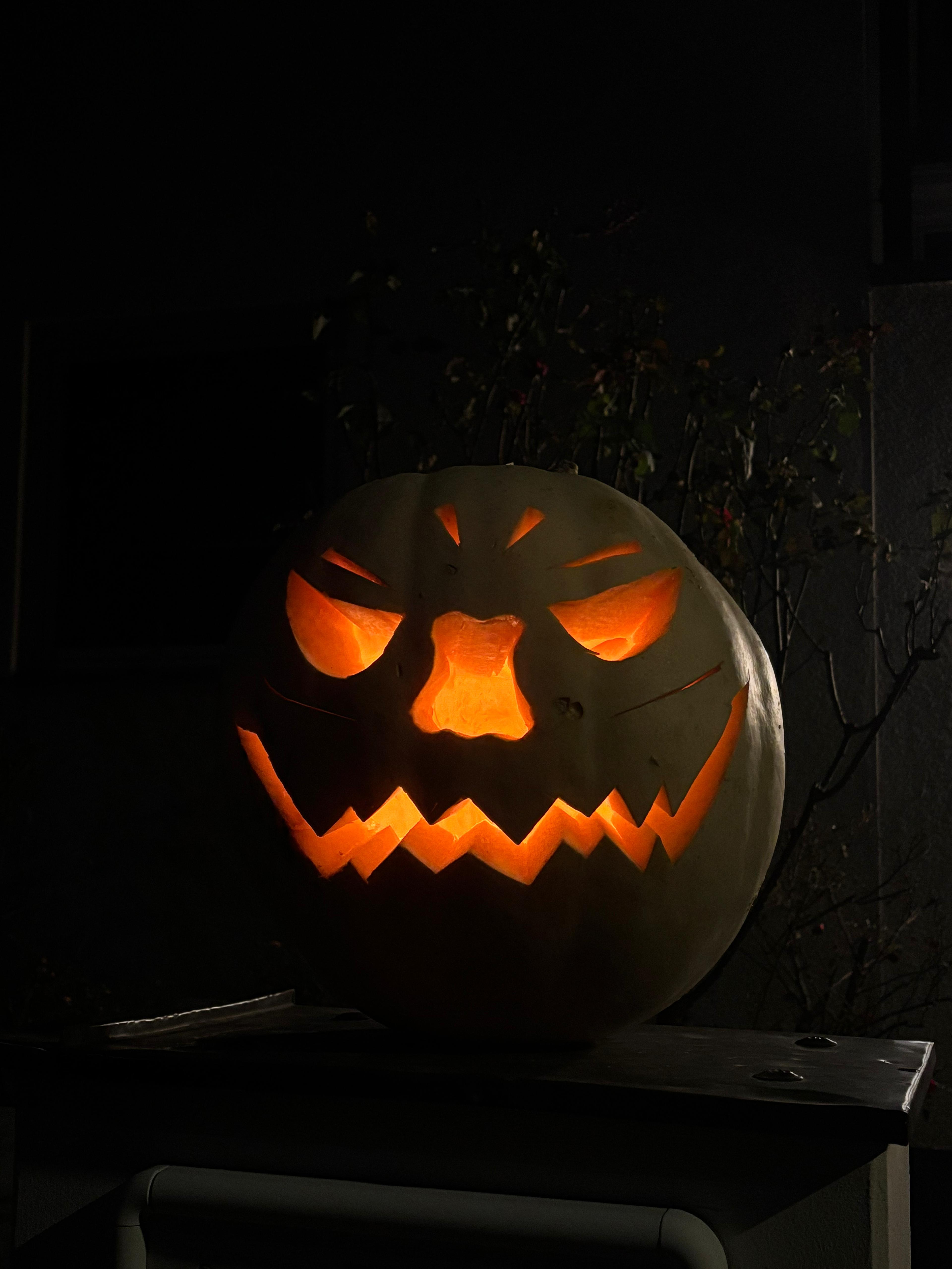 WhatsApp Image 2025-11-04 at 08.10.07.jpeg